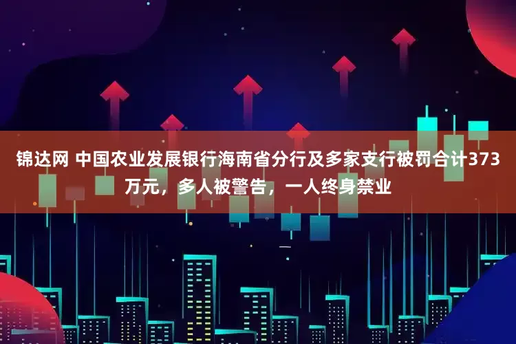 锦达网 中国农业发展银行海南省分行及多家支行被罚合计373万元，多人被警告，一人终身禁业