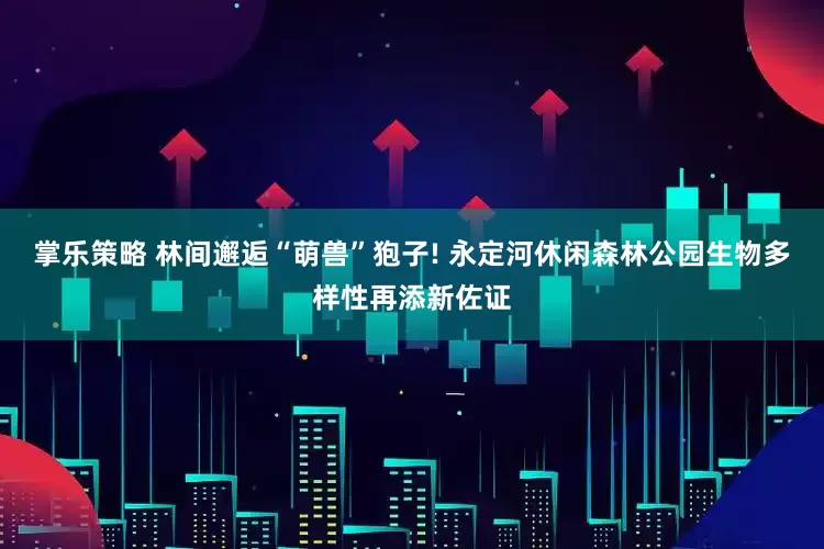 掌乐策略 林间邂逅“萌兽”狍子! 永定河休闲森林公园生物多样性再添新佐证